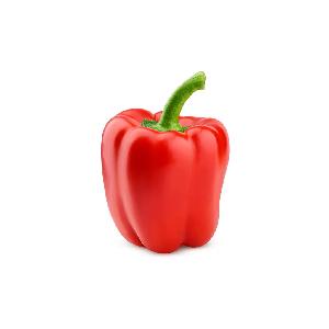Náhľad obrázku položky